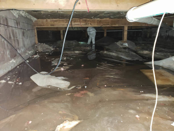 Reliable Farr West, UT Water damage restoration Solutions